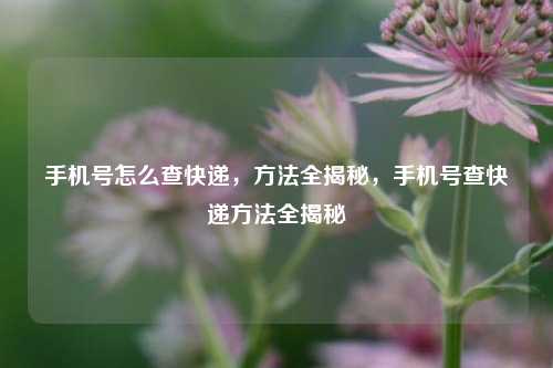 手机号怎么查快递,方法全揭秘,手机号查快递方法全揭秘