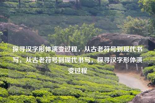 探寻汉字形体演变过程,从古老符号到现代书写,从古老符号到现代书写,探寻汉字形体演变过程