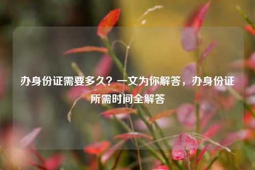 办身份证需要多久?一文为你解答,办身份证所需时间全解答