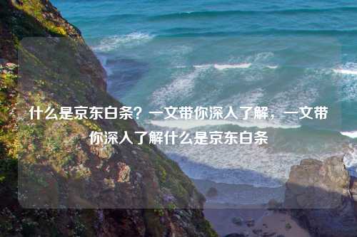 什么是京东白条？一文带你深入了解，一文带你深入了解什么是京东白条