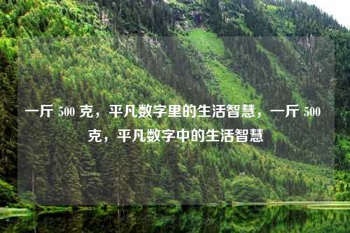 一斤 500 克,平凡数字里的生活智慧,一斤 500 克,平凡数字中的生活智慧