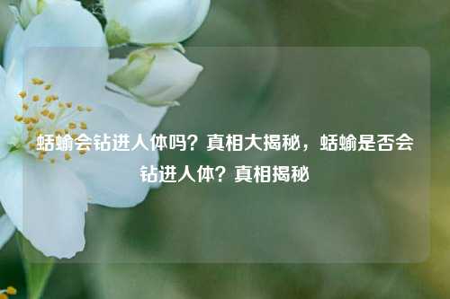 蛞蝓会钻进人体吗？真相大揭秘，蛞蝓是否会钻进人体？真相揭秘