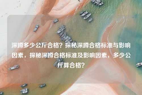 深蹲多少公斤合格?探秘深蹲合格标准与影响因素,探秘深蹲合格标准及影响因素,多少公斤算合格?