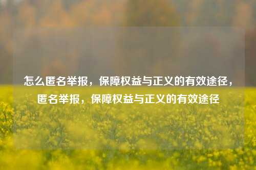 怎么匿名举报，保障权益与正义的有效途径，匿名举报，保障权益与正义的有效途径