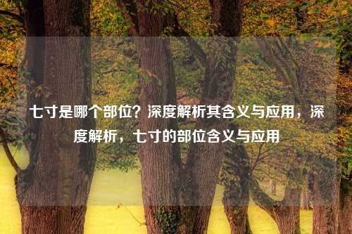 七寸是哪个部位?深度解析其含义与应用,深度解析,七寸的部位含义与应用