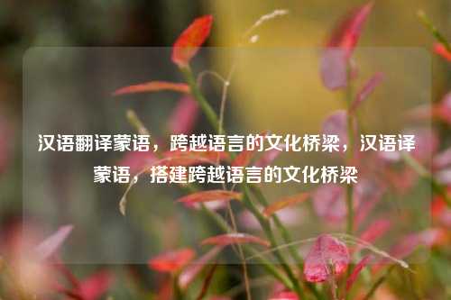 汉语翻译蒙语,跨越语言的文化桥梁,汉语译蒙语,搭建跨越语言的文化桥梁