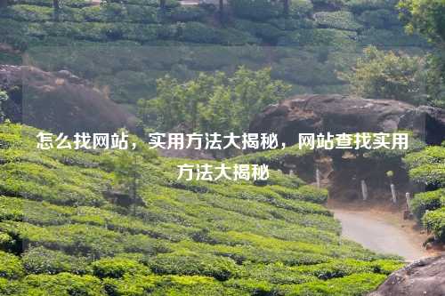 怎么找网站，实用方法大揭秘，网站查找实用方法大揭秘