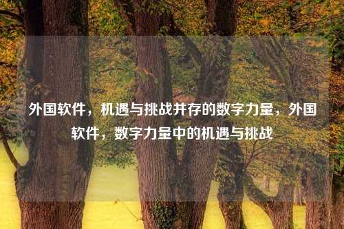 外国软件,机遇与挑战并存的数字力量,外国软件,数字力量中的机遇与挑战
