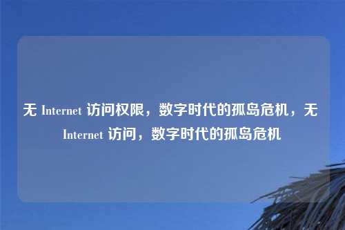 无 Internet 访问权限,数字时代的孤岛危机,无 Internet 访问,数字时代的孤岛危机