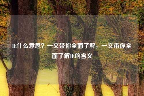 IE什么意思？一文带你全面了解，一文带你全面了解IE的含义