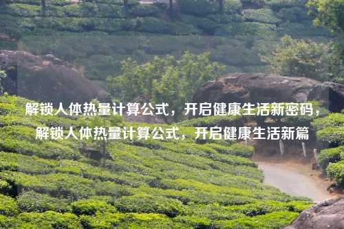 解锁人体热量计算公式,开启健康生活新密码,解锁人体热量计算公式,开启健康生活新篇
