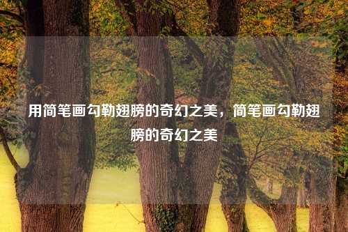 用简笔画勾勒翅膀的奇幻之美，简笔画勾勒翅膀的奇幻之美
