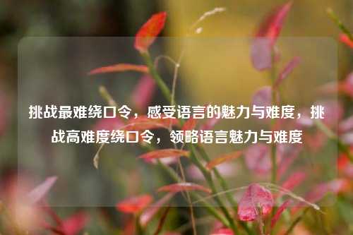 挑战最难绕口令,感受语言的魅力与难度,挑战高难度绕口令,领略语言魅力与难度