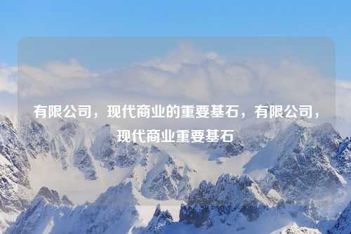 有限公司,现代商业的重要基石,有限公司,现代商业重要基石
