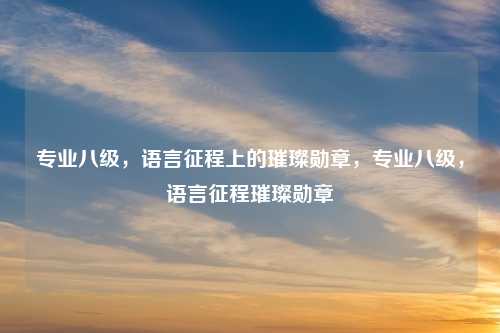 专业八级，语言征程上的璀璨勋章，专业八级，语言征程璀璨勋章