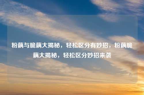 粉藕与脆藕大揭秘,轻松区分有妙招,粉藕脆藕大揭秘,轻松区分妙招来袭