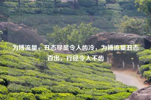 为博流量，丑态尽显令人齿冷，为博流量丑态百出，行径令人不齿