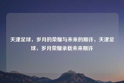 天津足球,岁月的荣耀与未来的期许,天津足球,岁月荣耀承载未来期许