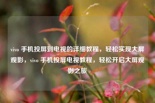 vivo 手机投屏到电视的详细教程,轻松实现大屏观影,vivo 手机投屏电视教程,轻松开启大屏观影之旅