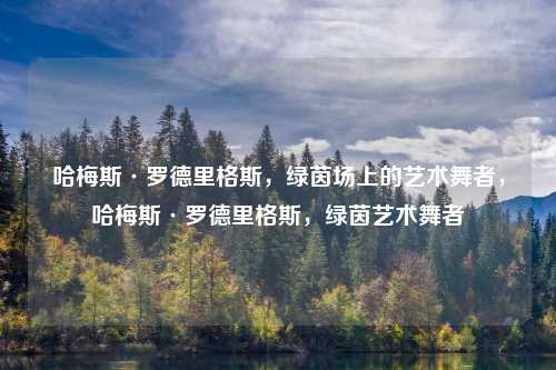 哈梅斯·罗德里格斯,绿茵场上的艺术舞者,哈梅斯·罗德里格斯,绿茵艺术舞者