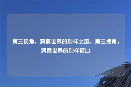 第三视角,洞察世界的别样之窗,第三视角,洞察世界的别样窗口
