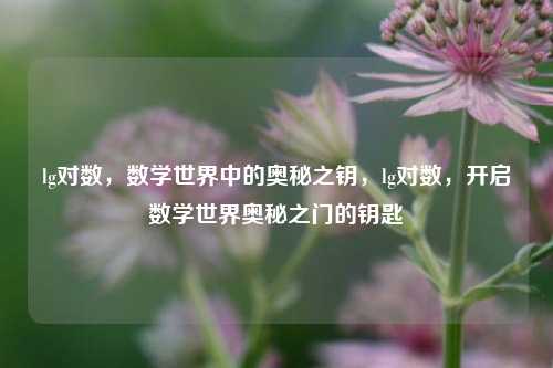 lg对数,数学世界中的奥秘之钥,lg对数,开启数学世界奥秘之门的钥匙