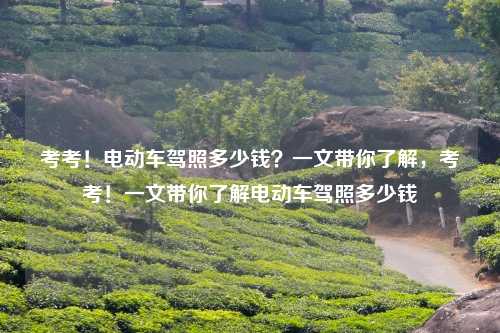 考考！电动车驾照多少钱？一文带你了解，考考！一文带你了解电动车驾照多少钱