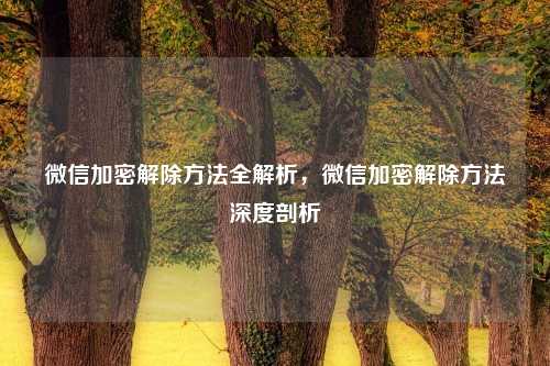 微信加密解除方法全解析，微信加密解除方法深度剖析