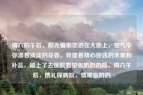 周六的午后，阳光慵懒地洒在大地上，空气中弥漫着淡淡的花香。我提着精心挑选的水果和补品，踏上了去医院看望张奶奶的路，周六午后，携礼探病院，情暖张奶奶
