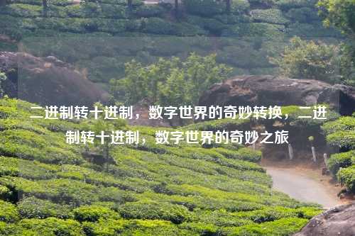 二进制转十进制，数字世界的奇妙转换，二进制转十进制，数字世界的奇妙之旅