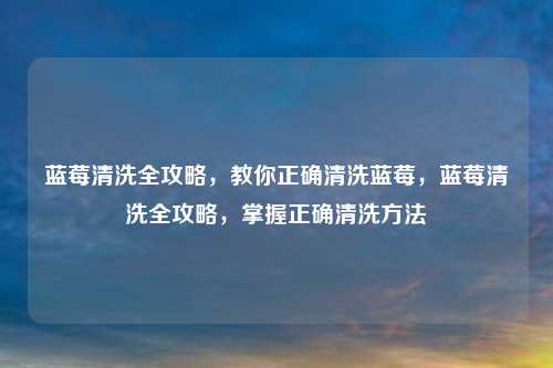 蓝莓清洗全攻略，教你正确清洗蓝莓，蓝莓清洗全攻略，掌握正确清洗方法