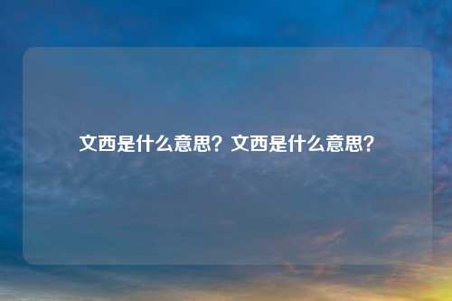 文西是什么意思？文西是什么意思？