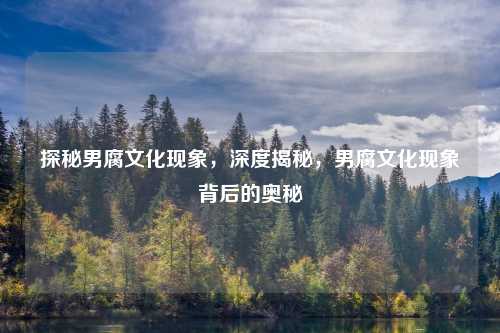 探秘男腐文化现象，深度揭秘，男腐文化现象背后的奥秘