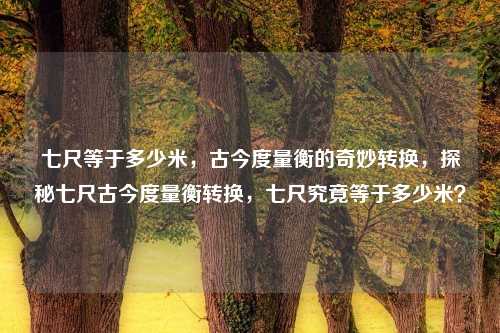 七尺等于多少米，古今度量衡的奇妙转换，探秘七尺古今度量衡转换，七尺究竟等于多少米？