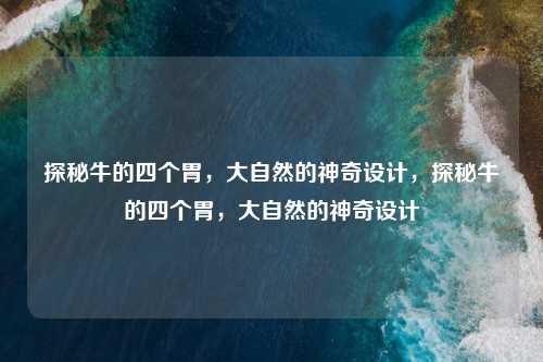 探秘牛的四个胃，大自然的神奇设计，探秘牛的四个胃，大自然的神奇设计
