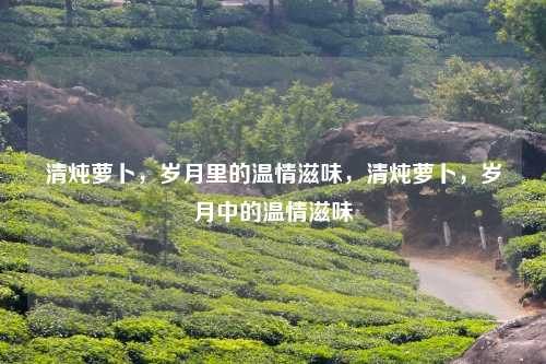 清炖萝卜,岁月里的温情滋味,清炖萝卜,岁月中的温情滋味