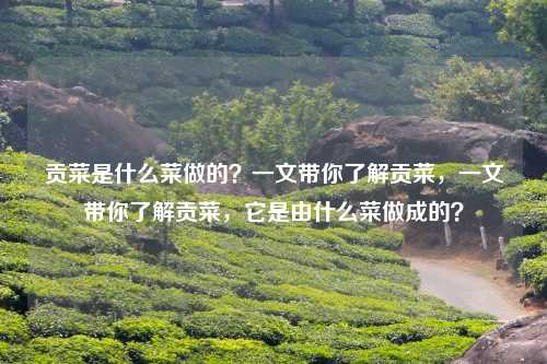 贡菜是什么菜做的?一文带你了解贡菜,一文带你了解贡菜,它是由什么菜做成的?