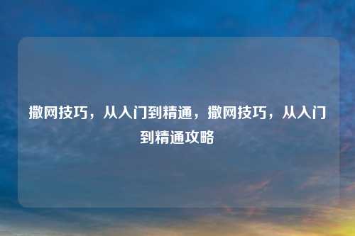 撒网技巧，从入门到精通，撒网技巧，从入门到精通攻略