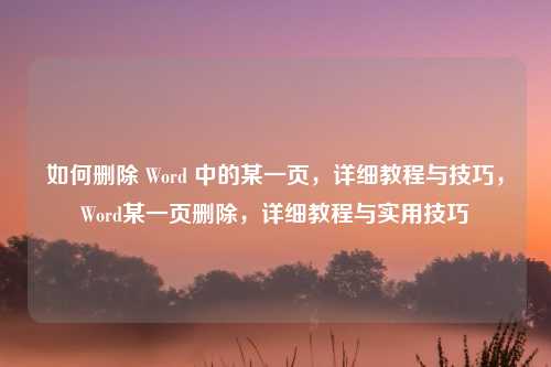如何删除 Word 中的某一页,详细教程与技巧,Word某一页删除,详细教程与实用技巧