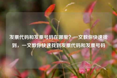 发票代码和发票号码在哪里？一文教你快速找到，一文教你快速找到发票代码和发票号码