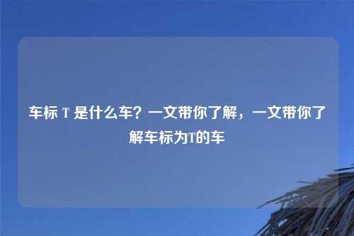 车标 T 是什么车？一文带你了解，一文带你了解车标为T的车