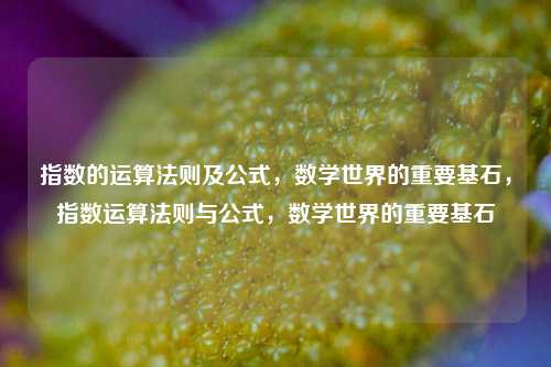 指数的运算法则及公式，数学世界的重要基石，指数运算法则与公式，数学世界的重要基石