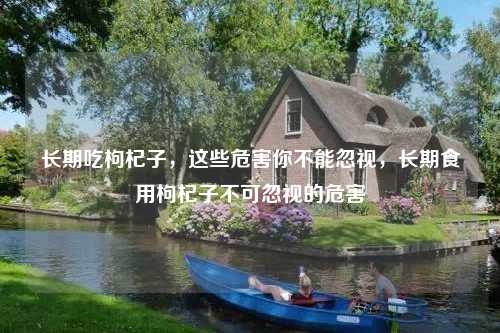 长期吃枸杞子，这些危害你不能忽视，长期食用枸杞子不可忽视的危害