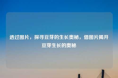 透过图片,探寻豆芽的生长奥秘,借图片揭开豆芽生长的奥秘