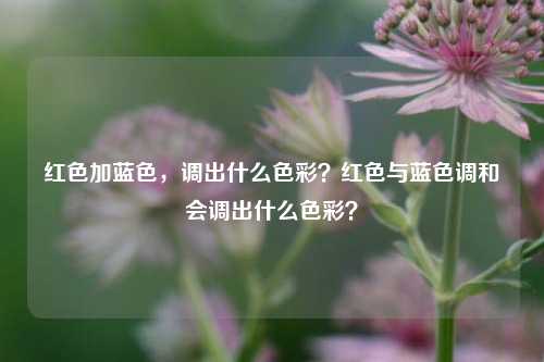 红色加蓝色，调出什么色彩？红色与蓝色调和会调出什么色彩？