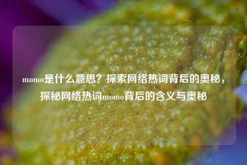 momo是什么意思？探索网络热词背后的奥秘，探秘网络热词momo背后的含义与奥秘