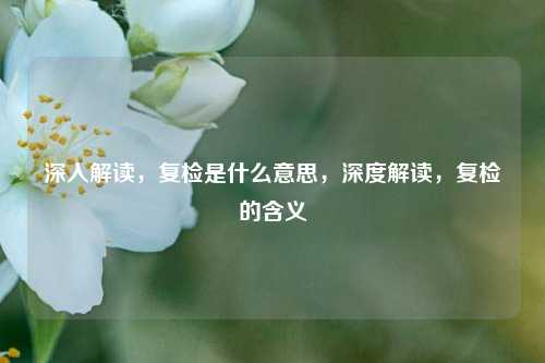 深入解读,复检是什么意思,深度解读,复检的含义