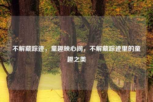 不解藏踪迹，童趣映心间，不解藏踪迹里的童趣之美