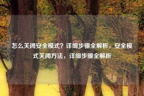 怎么关闭安全模式？详细步骤全解析，安全模式关闭方法，详细步骤全解析