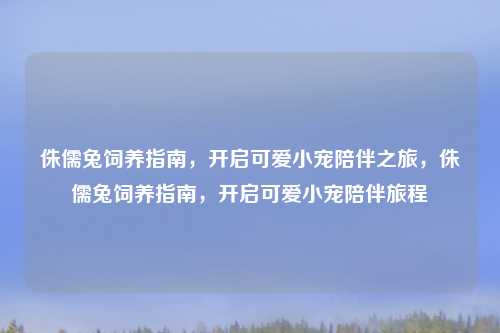 侏儒兔饲养指南,开启可爱小宠陪伴之旅,侏儒兔饲养指南,开启可爱小宠陪伴旅程